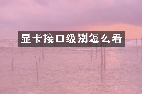 显卡接口级别怎么看