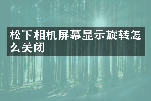 相机屏幕显示旋转怎么关闭