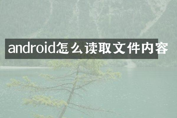 android怎么读取文件内容