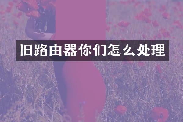 旧路由器你们怎么处理