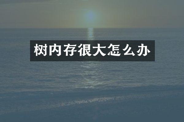 树内存很大怎么办