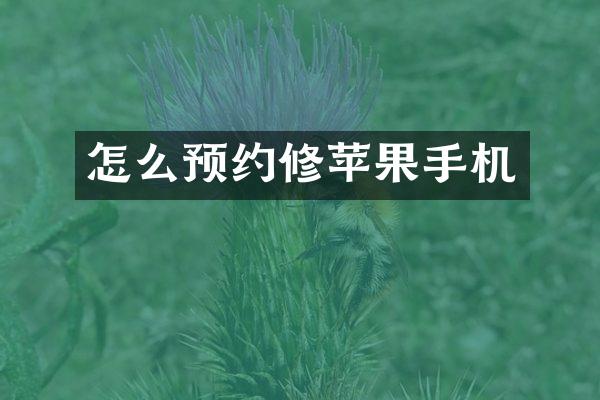 怎么预约修苹果手机