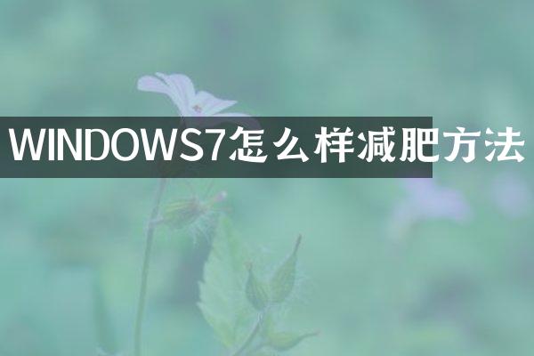 WINDOWS7怎么样减肥方法