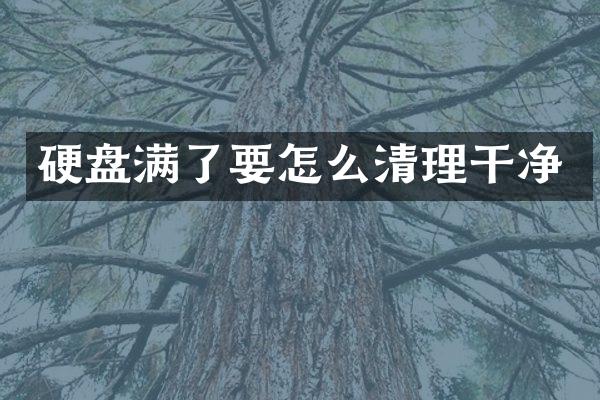 硬盘满了要怎么清理干净