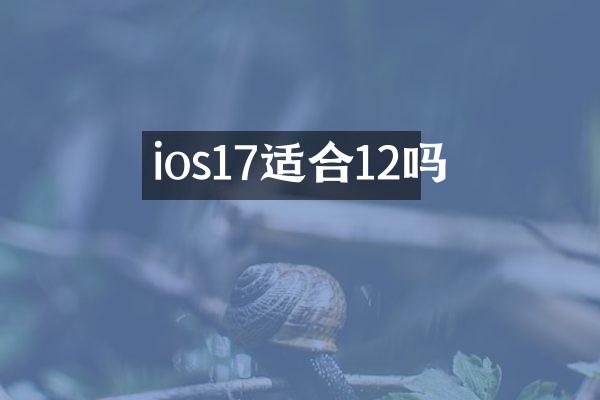 ios17适合12吗