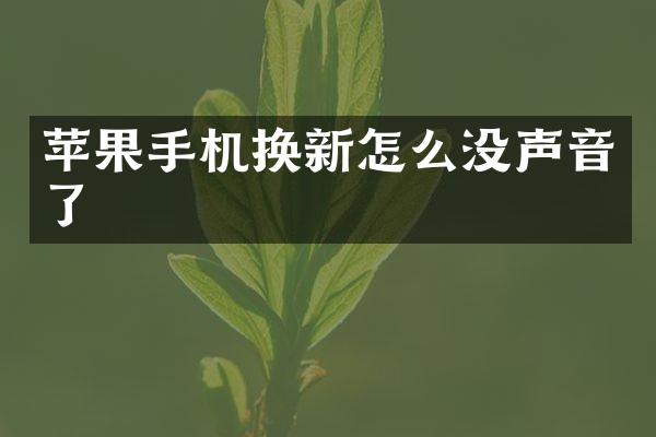 苹果手机换新怎么没声音了