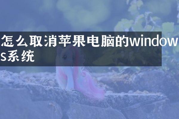 怎么取消苹果电脑的windows系统