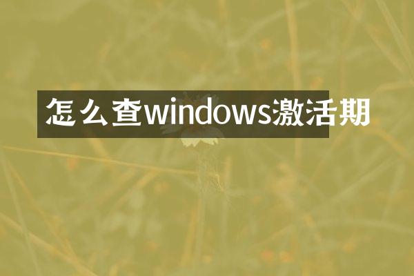 怎么查windows激活期