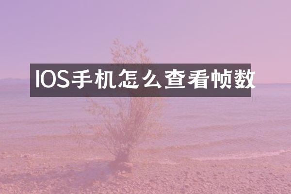 IOS手机怎么查看帧数