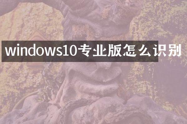 windows10专业版怎么识别