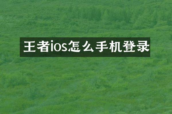 王者ios怎么手机登录