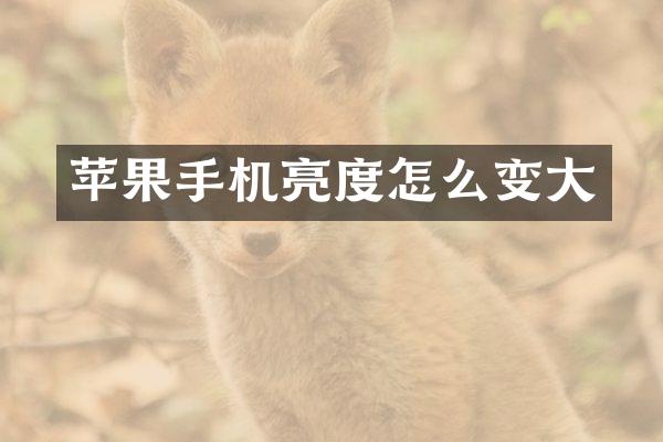 苹果手机亮度怎么变大