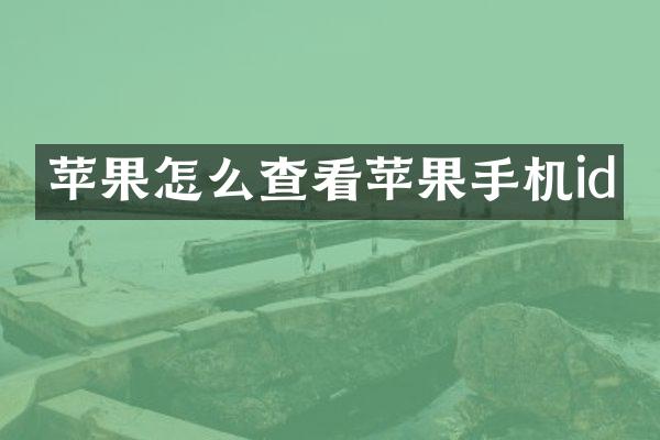 苹果怎么查看苹果手机id