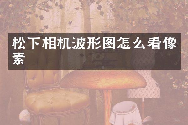 相机波形图怎么看像素