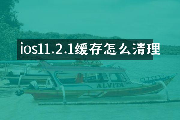 ios11.2.1缓存怎么清理