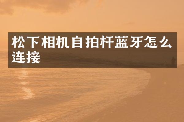 相机杆蓝牙怎么连接