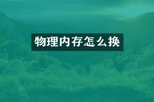 物理内存怎么换