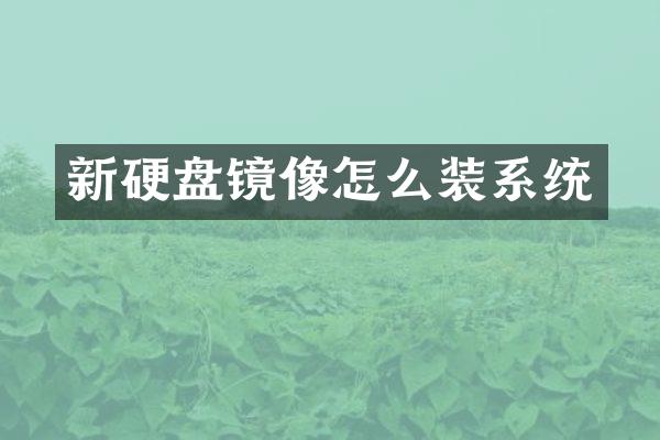 新硬盘镜像怎么装系统