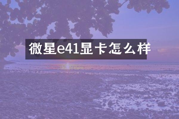 微星e41显卡怎么样