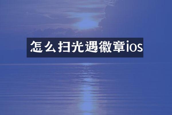 怎么扫光遇徽章ios