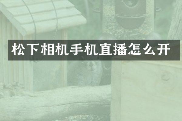 相机手机直播怎么开
