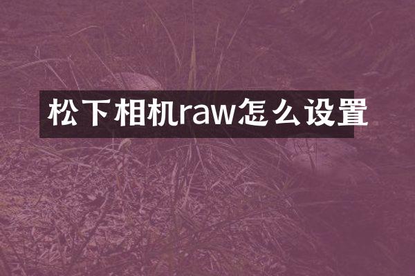 相机raw怎么设置