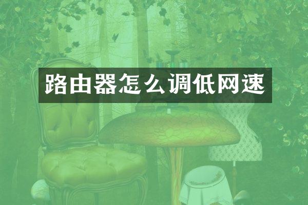 路由器怎么调低网速