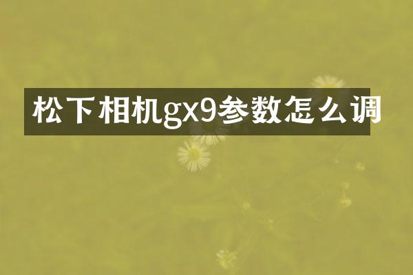 相机gx9参数怎么调