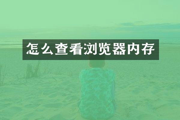 怎么查看浏览器内存