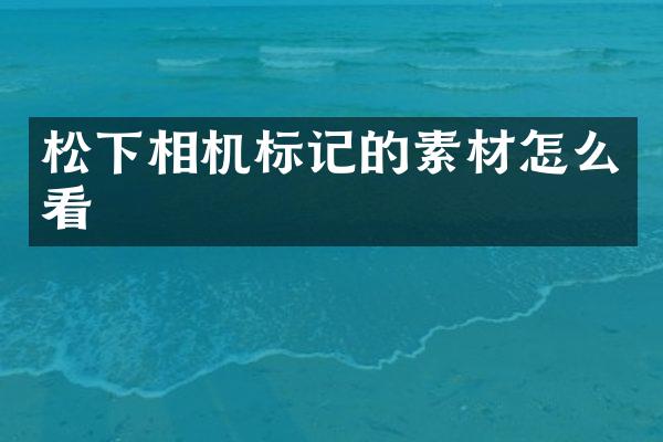 相机标记的素材怎么看