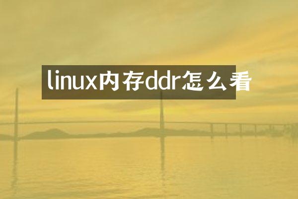 linux内存ddr怎么看