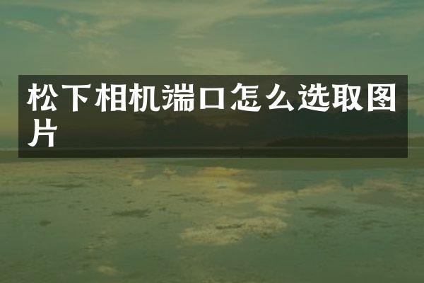 相机端口怎么选取图片