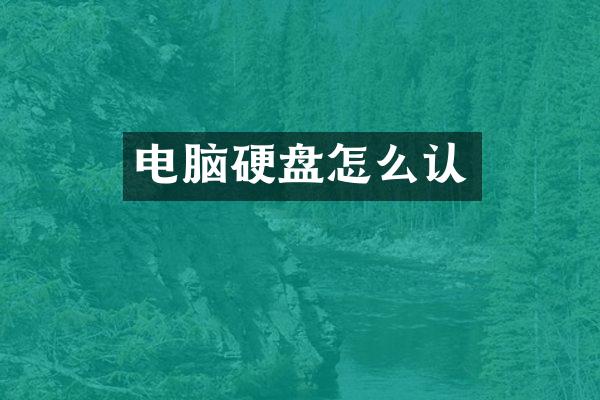 电脑硬盘怎么认