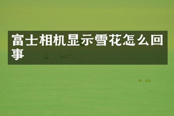 富士相机显示雪花怎么回事