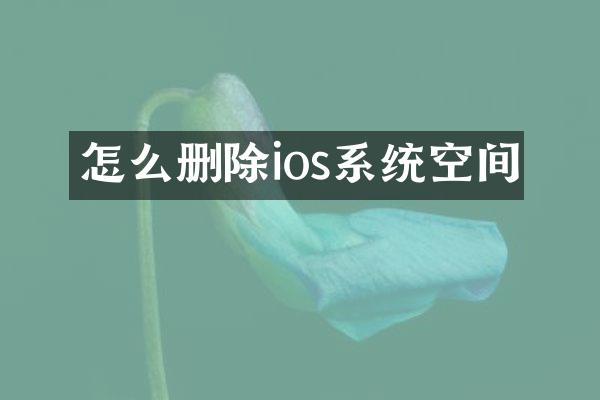 怎么删除ios系统空间