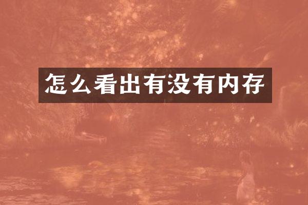 怎么看出有没有内存