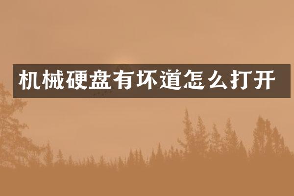 机械硬盘有坏道怎么打开