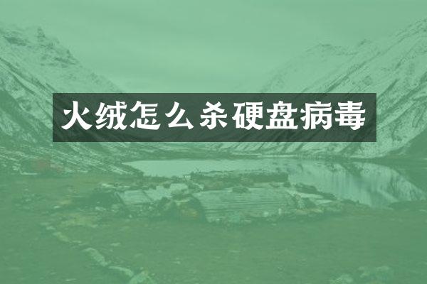 火绒怎么杀硬盘病毒