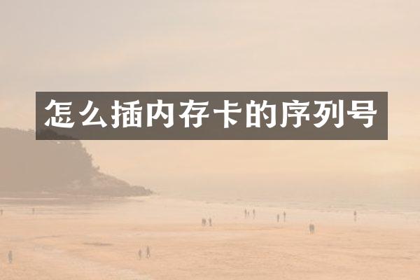 怎么插内存卡的序列号