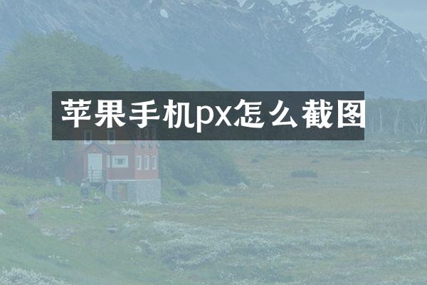 苹果手机px怎么截图