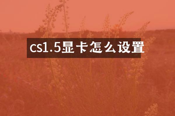 cs1.5显卡怎么设置