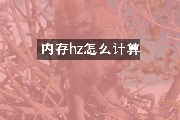 内存hz怎么计算