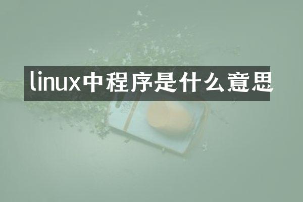 linux中程序是什么意思