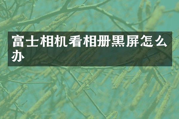 富士相机看相册黑屏怎么办