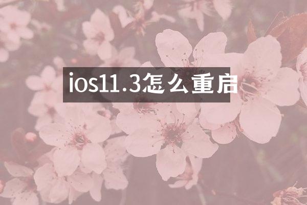 ios11.3怎么重启