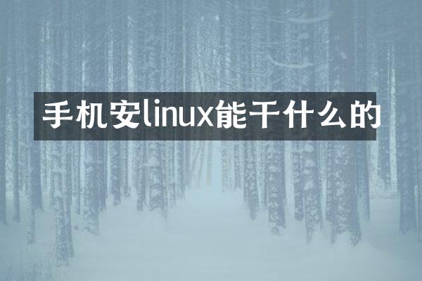 手机安linux能干什么的