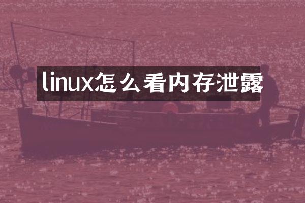 linux怎么看内存泄露