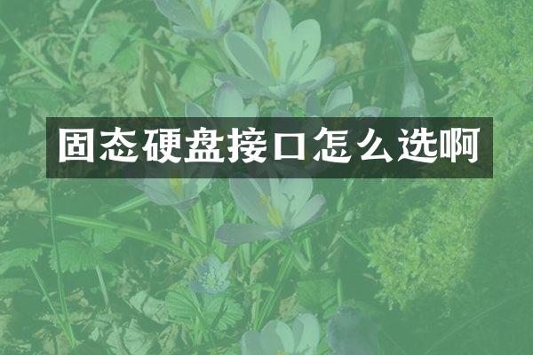 固态硬盘接口怎么选啊