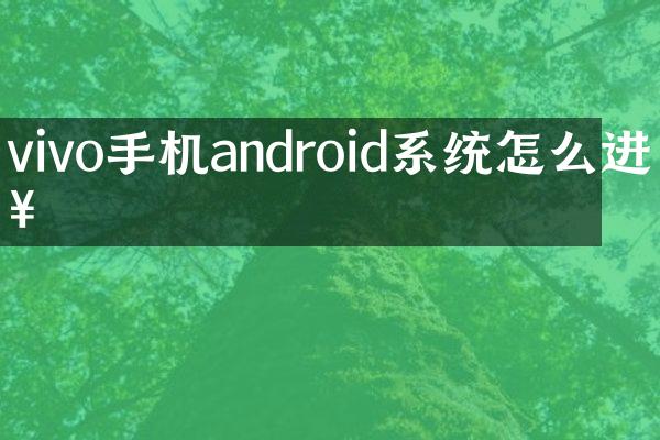 vivo手机android系统怎么进入