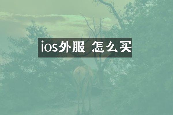 ios外服 怎么买